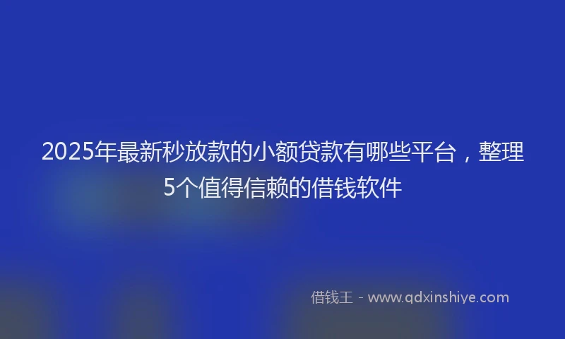 2025年最新秒放款的小额贷款有哪些平台，整理5个值得信赖的借钱软件