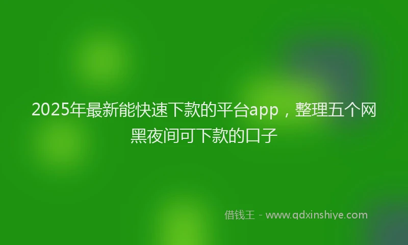 2025年最新能快速下款的平台app，整理五个网黑夜间可下款的口子