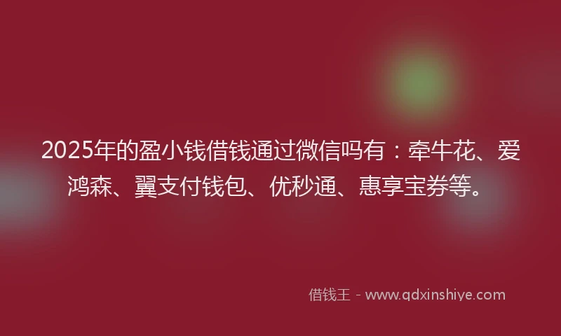 2025年的盈小钱借钱通过微信吗有：牵牛花、爱鸿森、翼支付钱包、优秒通、惠享宝券等。