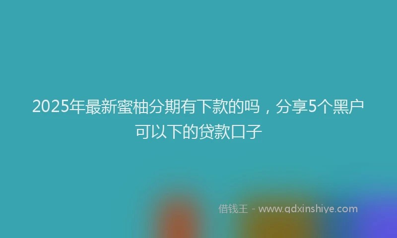 2025年最新蜜柚分期有下款的吗，分享5个黑户可以下的贷款口子