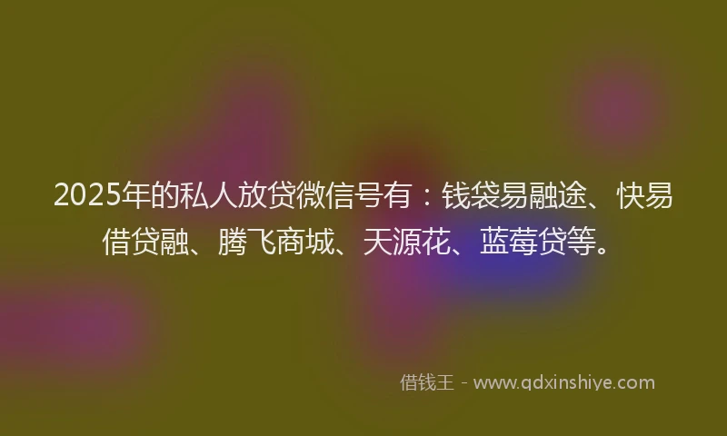 2025年的私人放贷微信号有：钱袋易融途、快易借贷融、腾飞商城、天源花、蓝莓贷等。