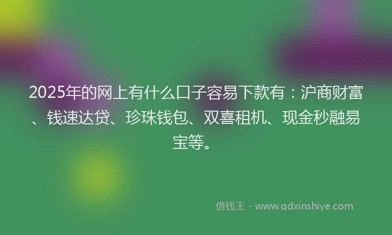 2025年的网上有什么口子容易下款有：沪商财富、钱速达贷、珍珠钱包、双喜租机、现金秒融易宝等。