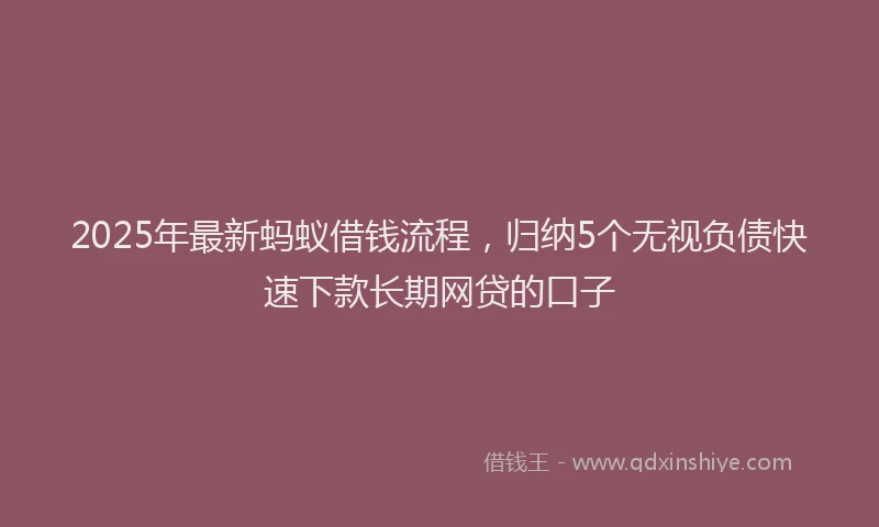 2025年最新蚂蚁借钱流程，归纳5个无视负债快速下款长期网贷的口子
