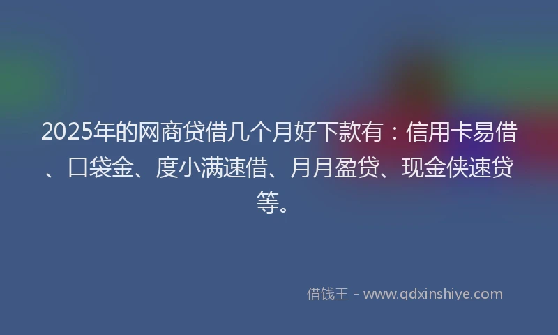 2025年的网商贷借几个月好下款有：信用卡易借、口袋金、度小满速借、月月盈贷、现金侠速贷等。