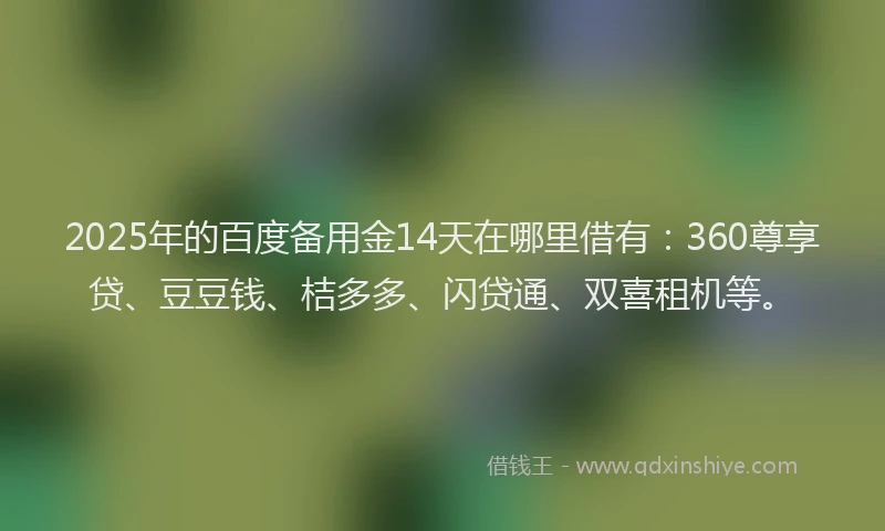 2025年的百度备用金14天在哪里借有：360尊享贷、豆豆钱、桔多多、闪贷通、双喜租机等。