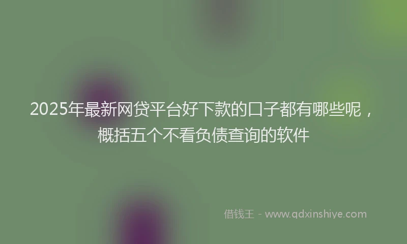 2025年最新网贷平台好下款的口子都有哪些呢，概括五个不看负债查询的软件