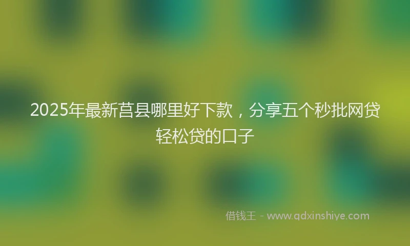 2025年最新莒县哪里好下款，分享五个秒批网贷轻松贷的口子