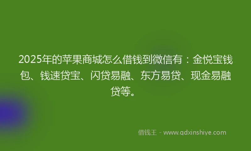 2025年的苹果商城怎么借钱到微信有：金悦宝钱包、钱速贷宝、闪贷易融、东方易贷、现金易融贷等。