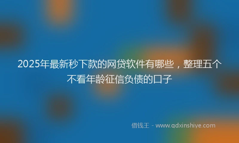 2025年最新秒下款的网贷软件有哪些，整理五个不看年龄征信负债的口子