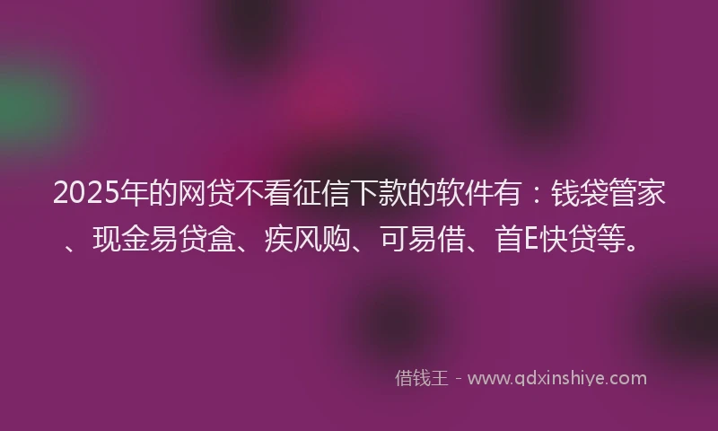 2025年的网贷不看征信下款的软件有：钱袋管家、现金易贷盒、疾风购、可易借、首E快贷等。