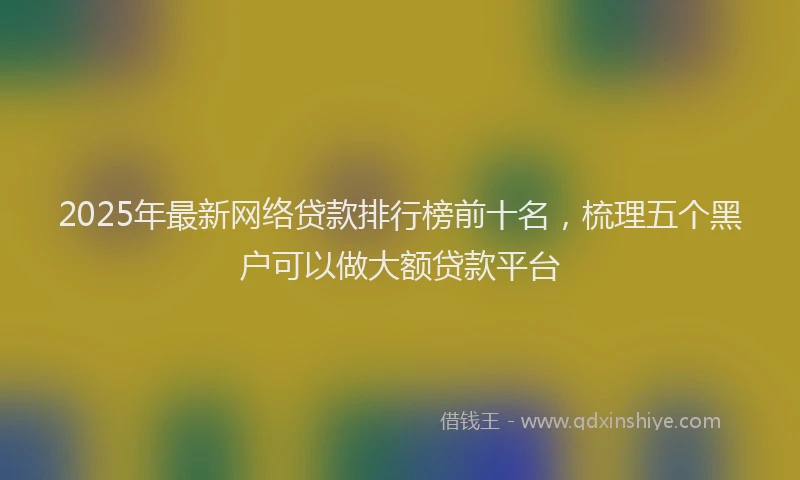 2025年最新网络贷款排行榜前十名，梳理五个黑户可以做大额贷款平台
