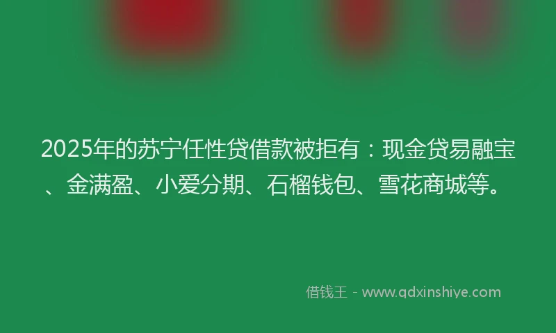 2025年的苏宁任性贷借款被拒有：现金贷易融宝、金满盈、小爱分期、石榴钱包、雪花商城等。