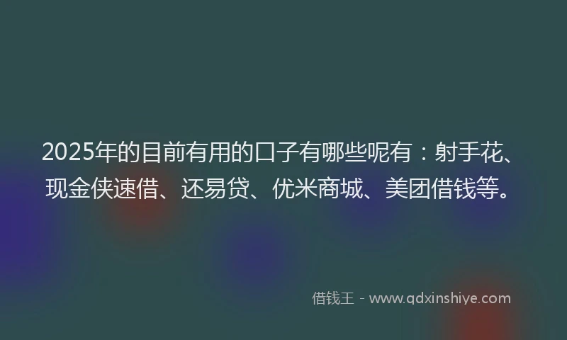 2025年的目前有用的口子有哪些呢有：射手花、现金侠速借、还易贷、优米商城、美团借钱等。