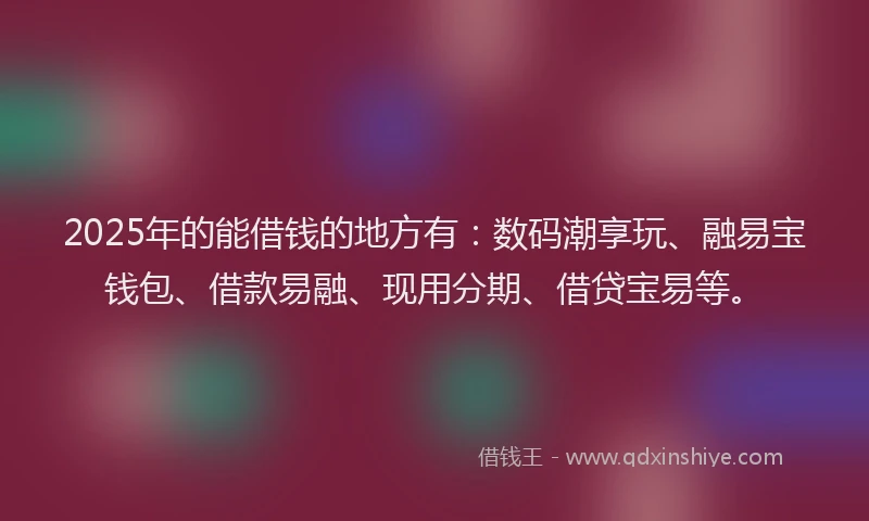 2025年的能借钱的地方有：数码潮享玩、融易宝钱包、借款易融、现用分期、借贷宝易等。