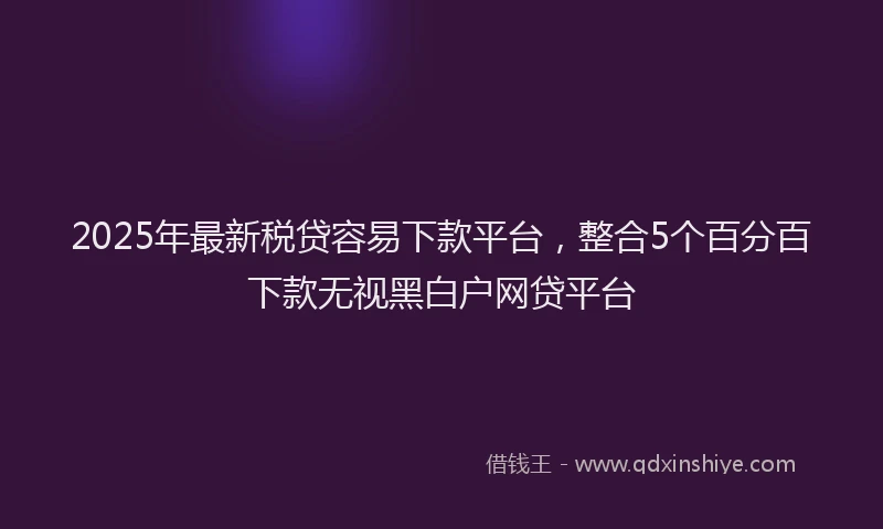 2025年最新税贷容易下款平台，整合5个百分百下款无视黑白户网贷平台