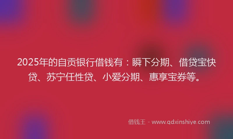 2025年的自贡银行借钱有：瞬下分期、借贷宝快贷、苏宁任性贷、小爱分期、惠享宝券等。