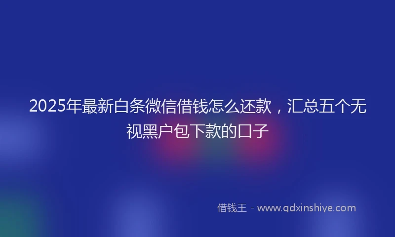 2025年最新白条微信借钱怎么还款，汇总五个无视黑户包下款的口子