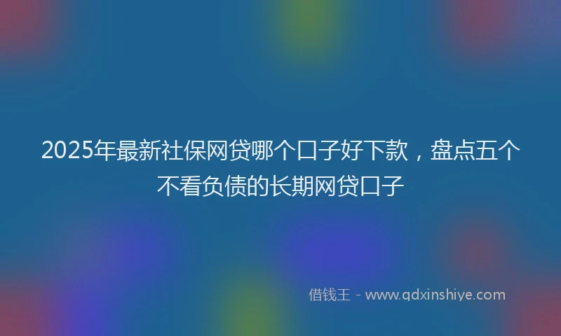 2025年最新社保网贷哪个口子好下款，盘点五个不看负债的长期网贷口子