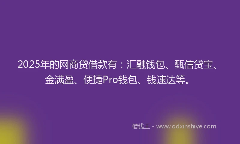 2025年的网商贷借款有：汇融钱包、甄信贷宝、金满盈、便捷Pro钱包、钱速达等。