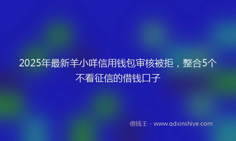 2025年最新羊小咩信用钱包审核被拒，整合5个不看征信的借钱口子