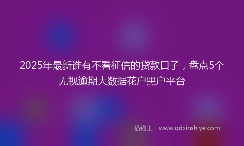 2025年最新谁有不看征信的贷款口子，盘点5个无视逾期大数据花户黑户平台