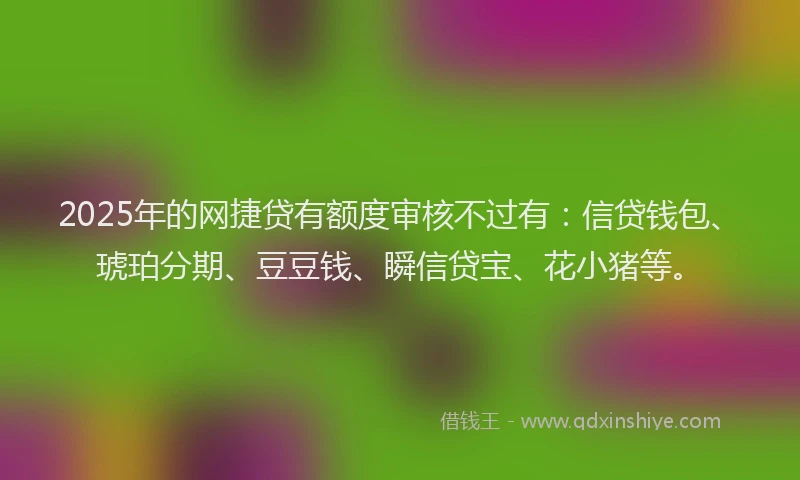 2025年的网捷贷有额度审核不过有：信贷钱包、琥珀分期、豆豆钱、瞬信贷宝、花小猪等。