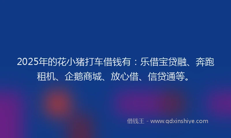 2025年的花小猪打车借钱有：乐借宝贷融、奔跑租机、企鹅商城、放心借、信贷通等。