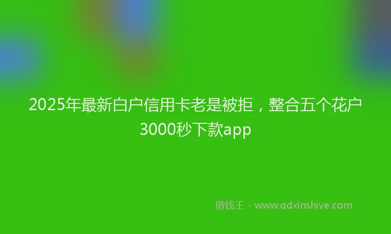 2025年最新白户信用卡老是被拒，整合五个花户3000秒下款app