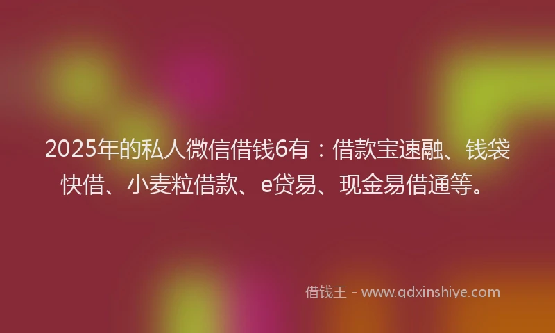 2025年的私人微信借钱6有：借款宝速融、钱袋快借、小麦粒借款、e贷易、现金易借通等。