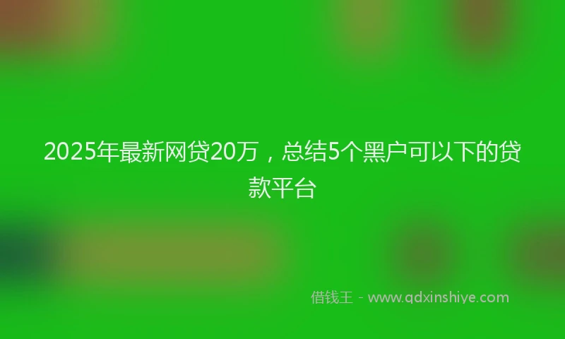 2025年最新网贷20万，总结5个黑户可以下的贷款平台