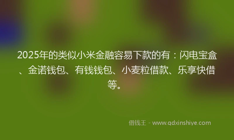 2025年的类似小米金融容易下款的有：闪电宝盒、金诺钱包、有钱钱包、小麦粒借款、乐享快借等。