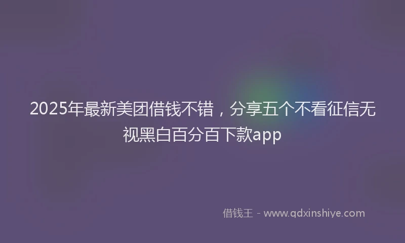 2025年最新美团借钱不错，分享五个不看征信无视黑白百分百下款app