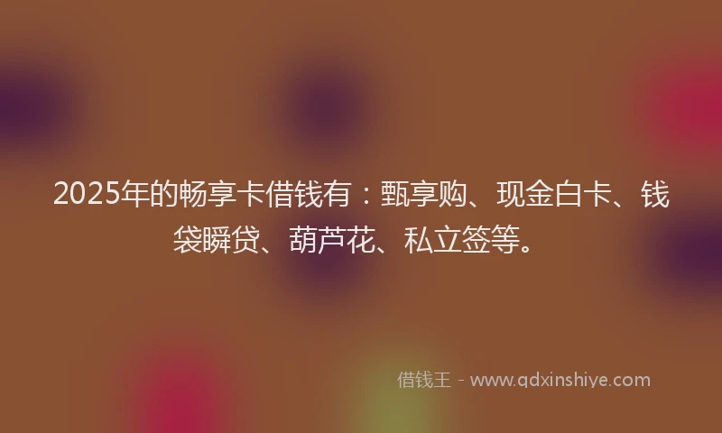 2025年的畅享卡借钱有：甄享购、现金白卡、钱袋瞬贷、葫芦花、私立签等。