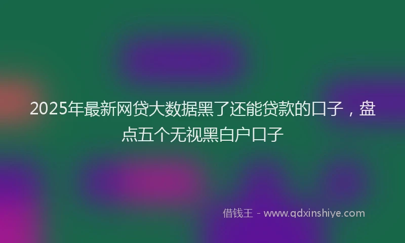 2025年最新网贷大数据黑了还能贷款的口子，盘点五个无视黑白户口子