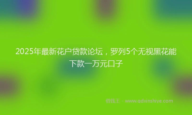 2025年最新花户贷款论坛，罗列5个无视黑花能下款一万元口子