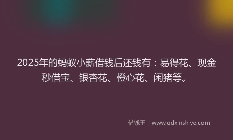 2025年的蚂蚁小薪借钱后还钱有：易得花、现金秒借宝、银杏花、橙心花、闲猪等。