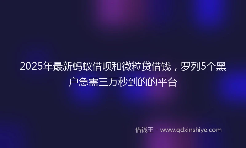2025年最新蚂蚁借呗和微粒贷借钱，罗列5个黑户急需三万秒到的的平台