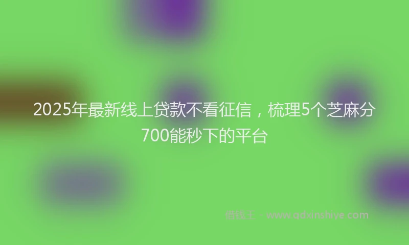 2025年最新线上贷款不看征信，梳理5个芝麻分700能秒下的平台