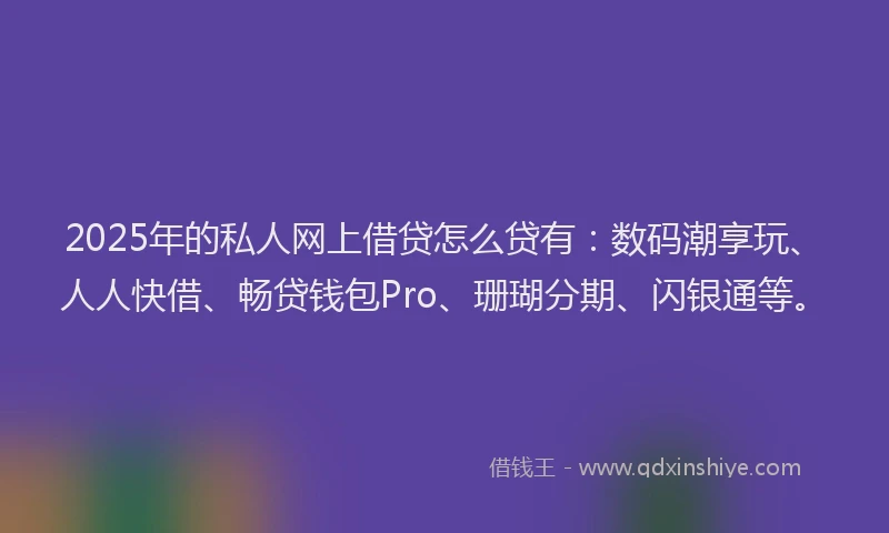 2025年的私人网上借贷怎么贷有：数码潮享玩、人人快借、畅贷钱包Pro、珊瑚分期、闪银通等。