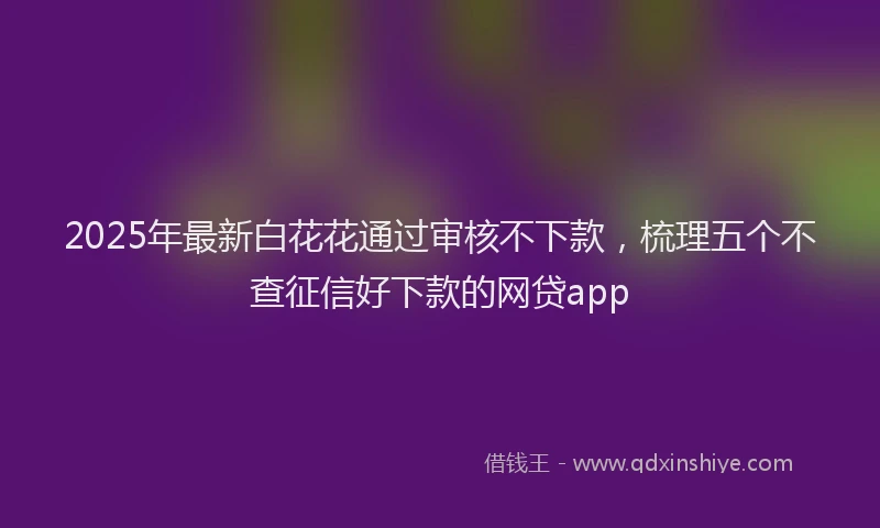 2025年最新白花花通过审核不下款，梳理五个不查征信好下款的网贷app