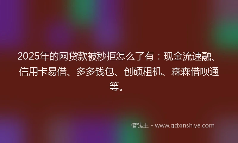 2025年的网贷款被秒拒怎么了有：现金流速融、信用卡易借、多多钱包、创硕租机、森森借呗通等。