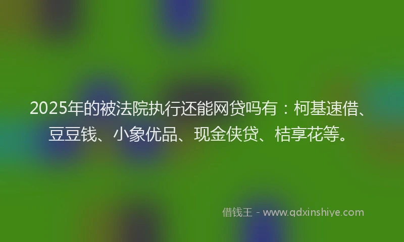 2025年的被法院执行还能网贷吗有：柯基速借、豆豆钱、小象优品、现金侠贷、桔享花等。