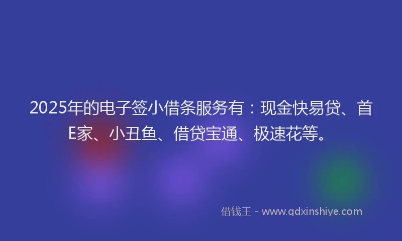 2025年的电子签小借条服务有：现金快易贷、首E家、小丑鱼、借贷宝通、极速花等。