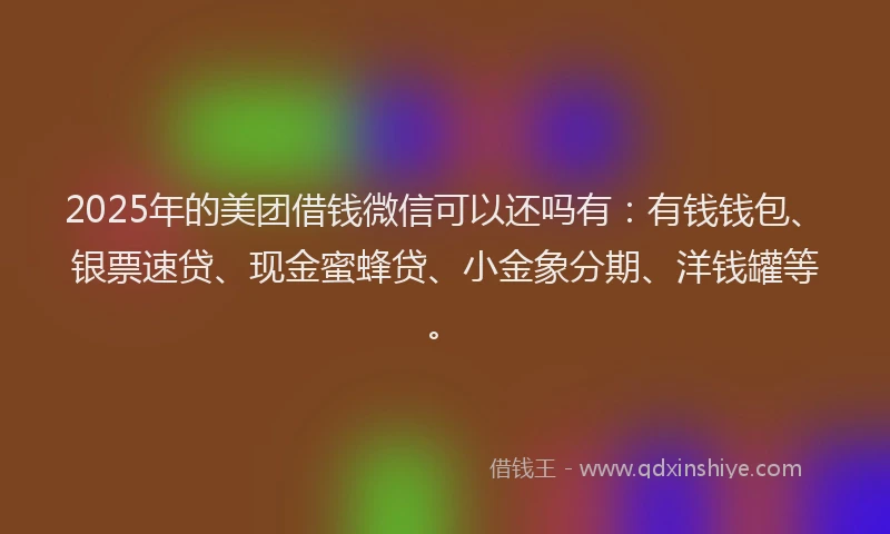 2025年的美团借钱微信可以还吗有：有钱钱包、银票速贷、现金蜜蜂贷、小金象分期、洋钱罐等。