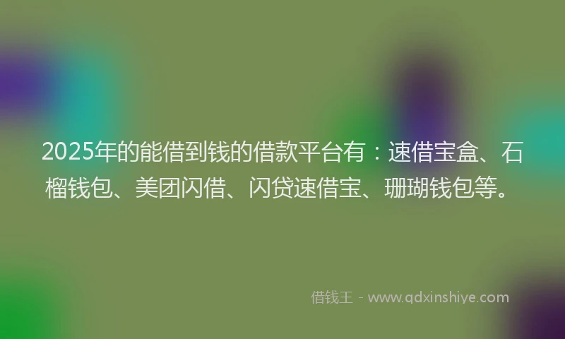 2025年的能借到钱的借款平台有：速借宝盒、石榴钱包、美团闪借、闪贷速借宝、珊瑚钱包等。