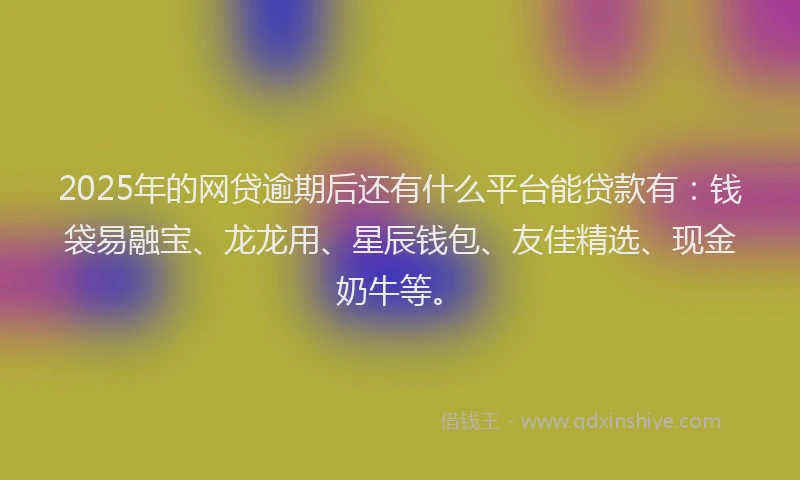 2025年的网贷逾期后还有什么平台能贷款有：钱袋易融宝、龙龙用、星辰钱包、友佳精选、现金奶牛等。
