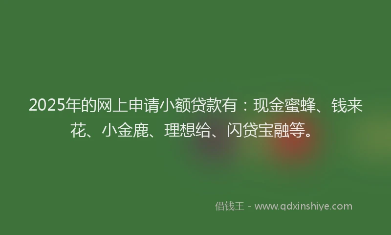 2025年的网上申请小额贷款有：现金蜜蜂、钱来花、小金鹿、理想给、闪贷宝融等。