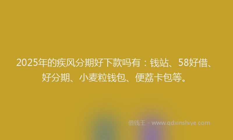2025年的疾风分期好下款吗有：钱站、58好借、好分期、小麦粒钱包、便荔卡包等。