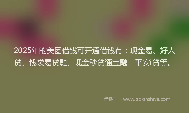 2025年的美团借钱可开通借钱有：现金易、好人贷、钱袋易贷融、现金秒贷通宝融、平安i贷等。