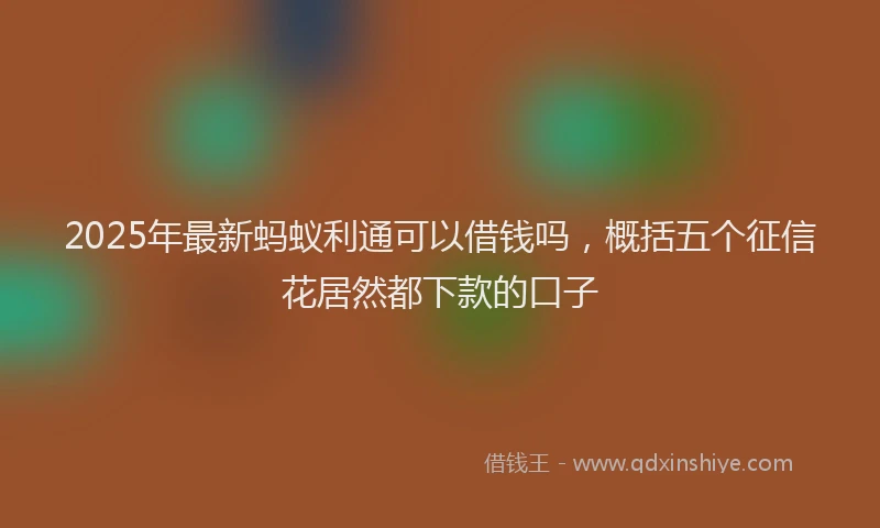 2025年最新蚂蚁利通可以借钱吗，概括五个征信花居然都下款的口子